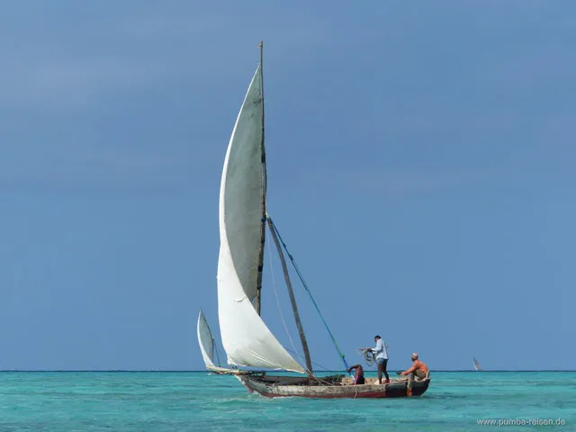 schwimmen-mit-delfinen