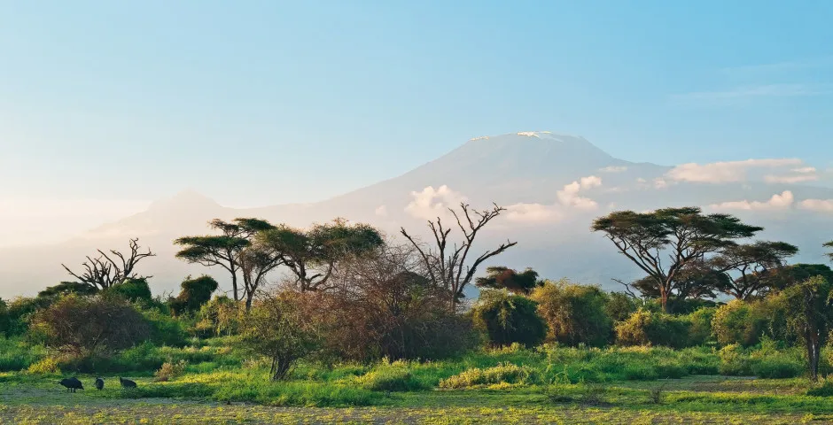 arusha