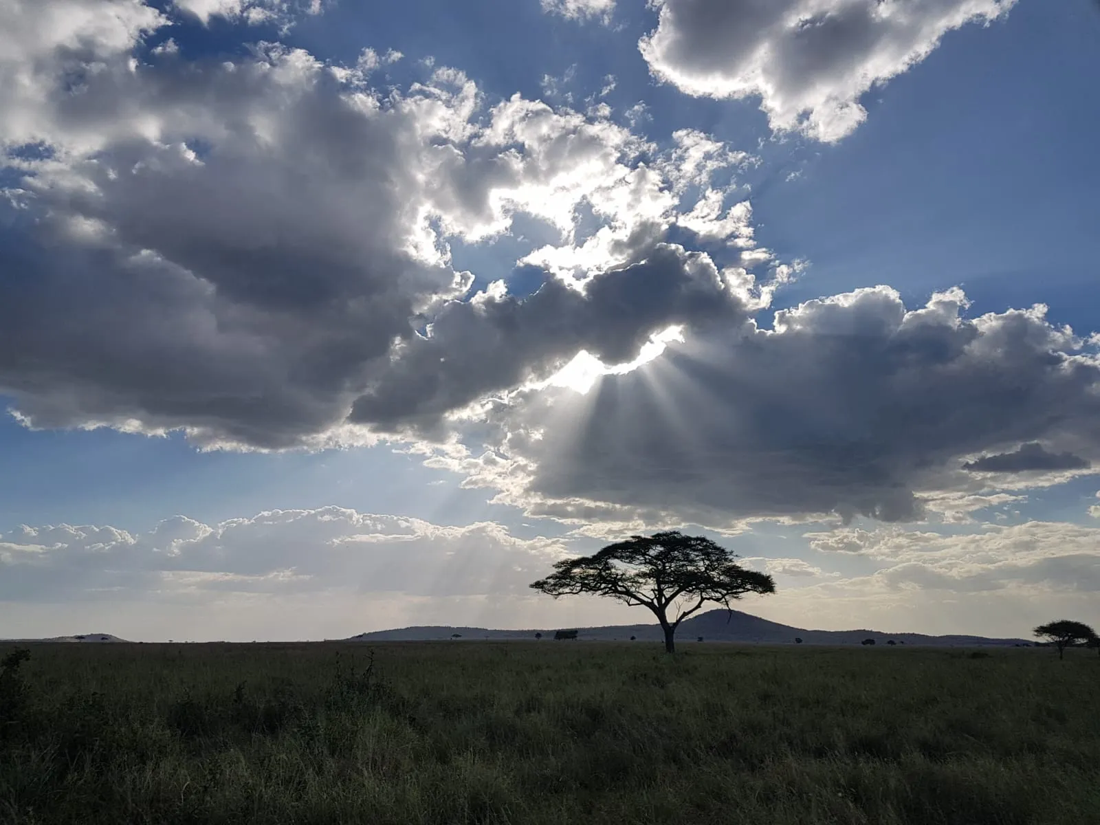 arusha