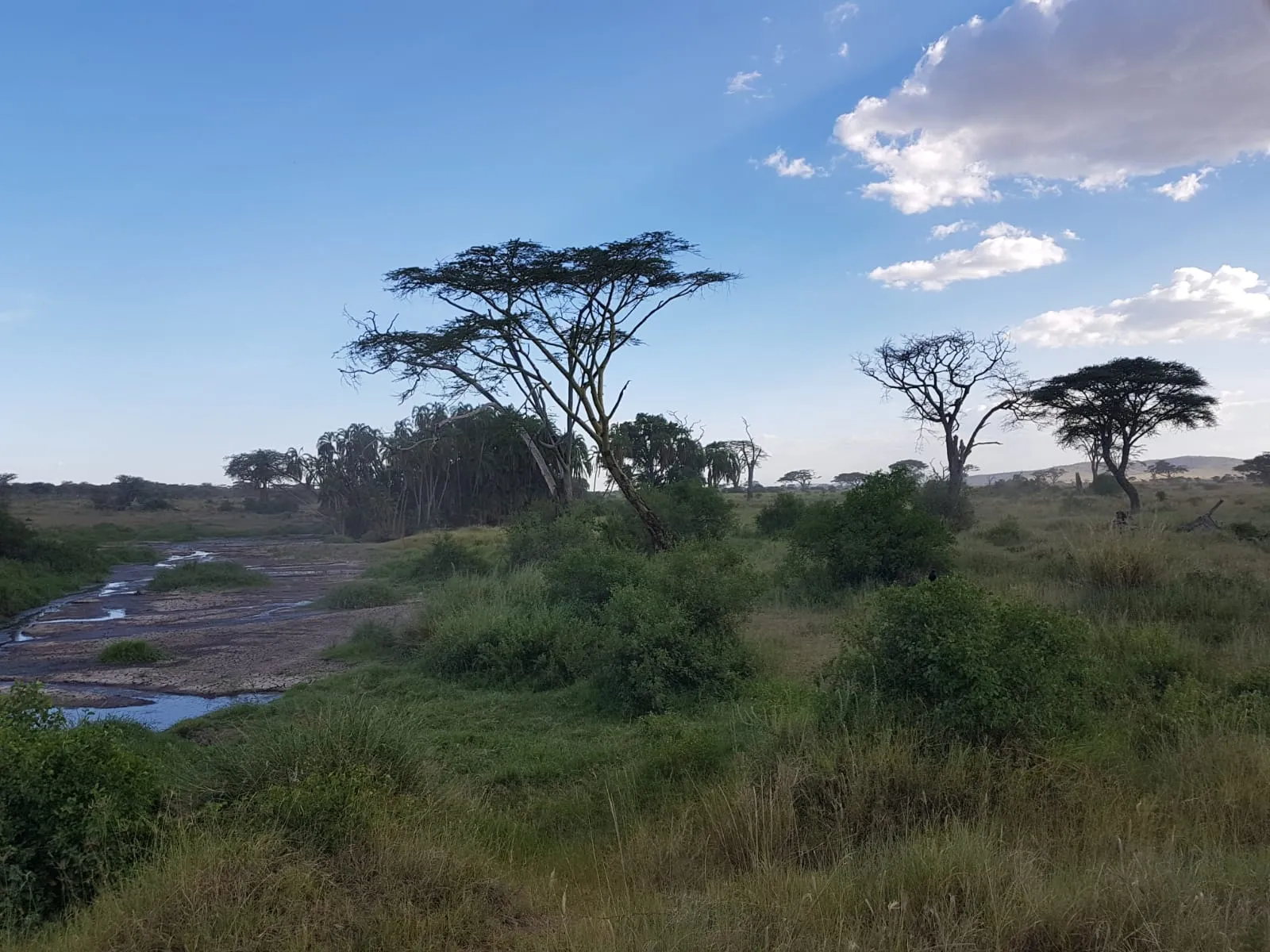 arusha