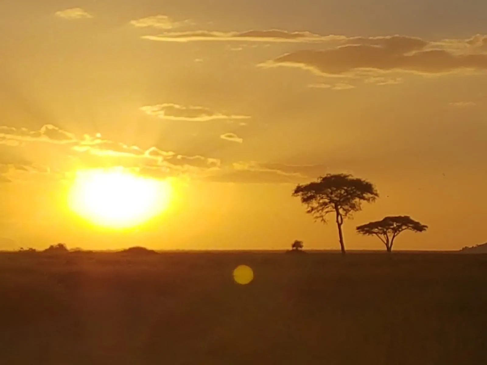 arusha