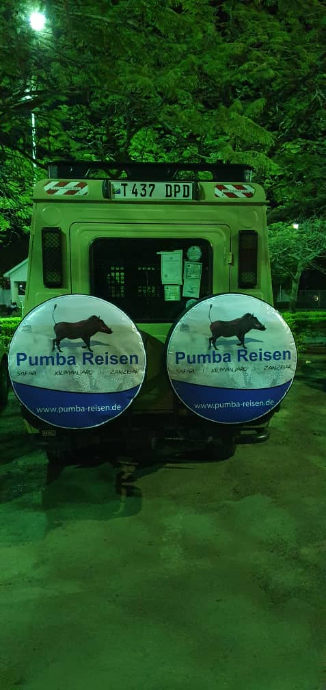 Puma Reisen